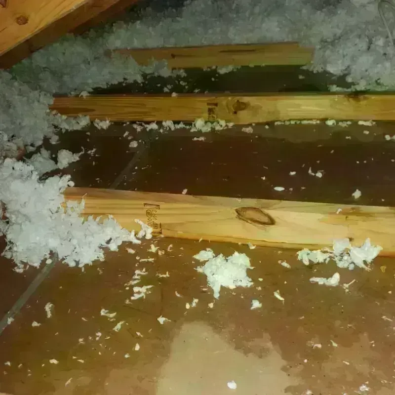 Attic Water Damage in Ruckersville, VA